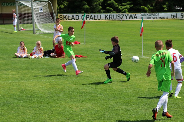 成功提升了 成功提升了