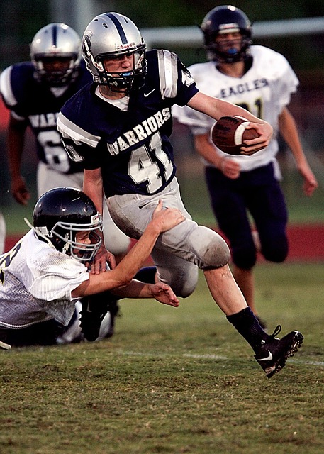 了媒体追逐 了媒体追逐