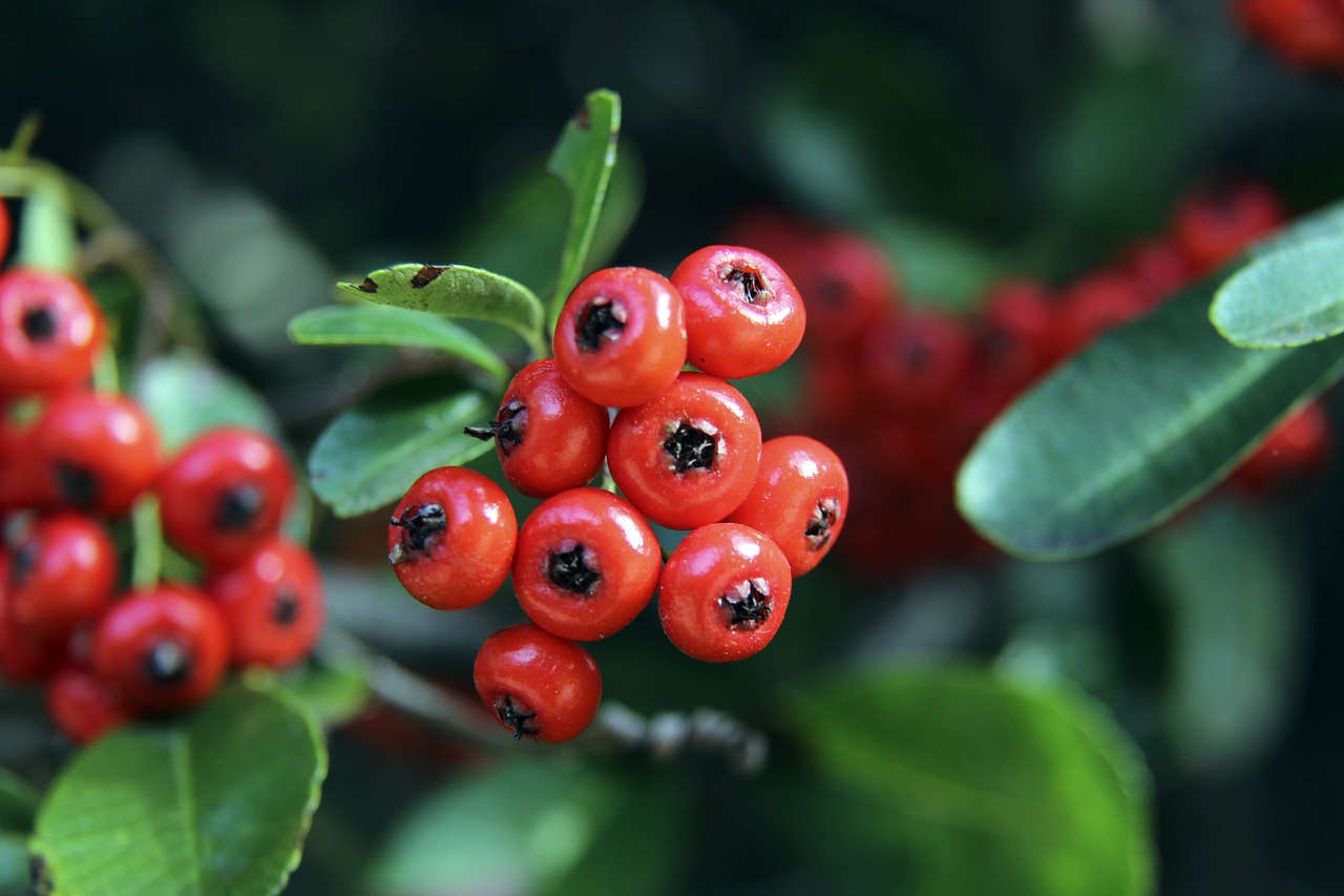 好地适应这 好地适应这