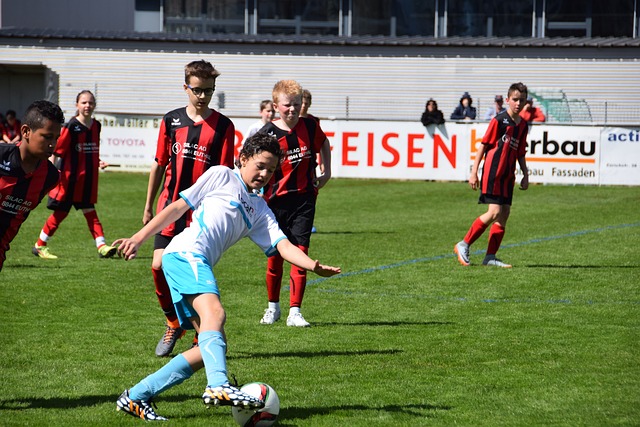 明星阵容 明星阵容